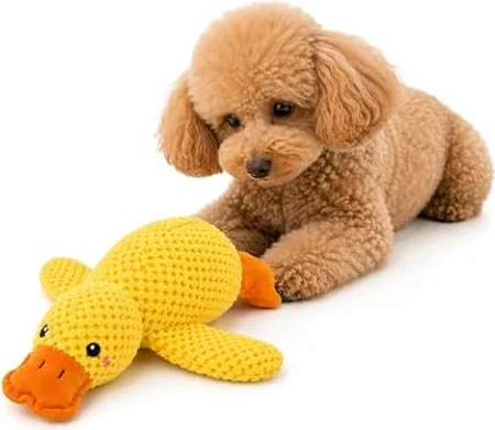 犬用ぬいぐるみおもちゃ 小型中型アヒル ペットトイ 噛むおもちゃ スクイーカー入り 遊び用 歯磨き補助 中小型犬向け (小)
